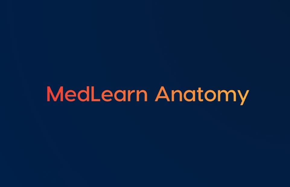 Anatomy Tutor Online